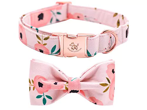 Elegant Little Tail Hundehalsband – Komfortables, verstellbares Halsband für Hunde