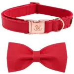 Elegant little tail Hundehalsband mit Schleife für mittelgroße Hunde