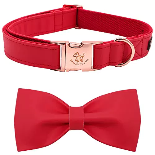 Elegant little tail Hundehalsband mit Schleife für mittelgroße Hunde