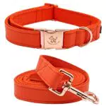 Elegant Little Tail Hundehalsband und Leine aus Leder - Verstellbares Design