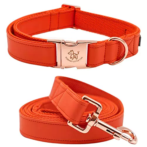 Elegant Little Tail Hundehalsband und Leine aus Leder - Verstellbares Design