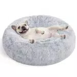 Hundebett von Feandrea - Flauschiges Katzenbett mit Donut Kissen