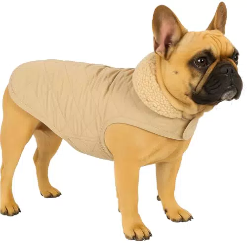 Flamingo Hundemantel Bonnie – Premium wasserabweisend und waschbar mit Plüschfutter