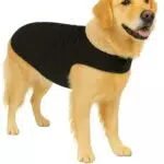 Flamingo Bonnie Hundemantel – Premium Line, wasserabweisend, waschbar bei 30 °C