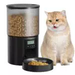 PetSafe Futterautomat für Katzen mit Timer und 4L Kapazität für Trockenfutter
