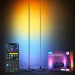 Govee RGBIC LED Stehlampe Wohnzimmer, WiFi Stehlampe Dimmbar