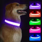Kpuplol LED Hundehalsband leuchtend, wiederaufladbar und einstellbar für Hunde