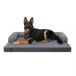 KSIIA Orthopädisches Hundebett für große Hunde, abnehmbarer und waschbarer Bezug
