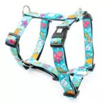 Max & Molly H-Geschirr - Blue Ocean