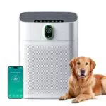 MERONTE Luftreiniger HEPA Filter für Allergiker, CADR 300 m³/h, leise 24 dB