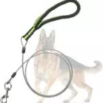 Mi Metty Hundeleine 5ft, Kausichere Leine für mittelgroße bis große Hunde