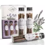 ne&no® Matatabi Sticks für Katzen – Natürliche Zahnpflege und Knabberspaß