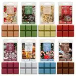 Salubrito Winter Duftwachs für Duftlampen - Wax Melts Apfel-Zimt, Cranberry & mehr