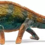 SCHLEICH Chamäleon 14858 - Detailgetreue Tierfigur für Kinder ab 3 Jahren