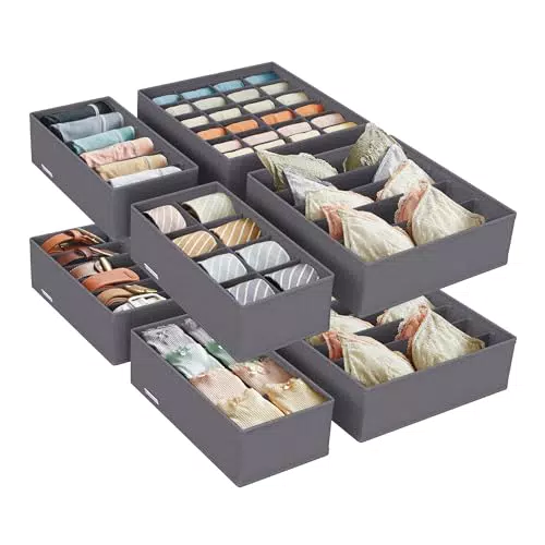 SONGMICS Unterwäsche-Organizer, faltbarer Schubladen-Organizer für Kleiderschrank