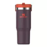 Stanley Flip Straw Tumbler – Isolierte Trinkflasche mit Strohhalm BPA-frei