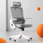 Tweakio Ergonomischer Bürostuhl S-förmig mit Verstellbaren Armlehnen