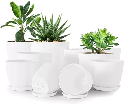 Utopia Home Blumentopf mit Untersetzer für Zimmerpflanzen und Garten