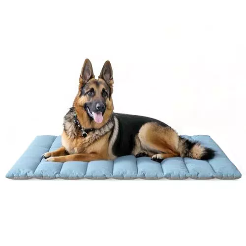 WESTERN HOME Hundedecke Wasserdicht Tragbar für Reisen und Outdoor Komfort