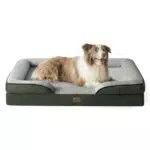 Bedsure orthopädisches Hundebett Ergonomisches Hundesofa - 71x58 cm Hundecouch mit eierförmiger Kistenschaum für kleine Hunde