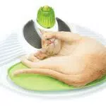Catit Wellness Center für Katzen – Multifunktionales Katzenmassagegerät