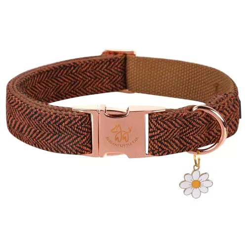 Elegant Little Tail Hundehalsband – Weiches und langlebiges Fischgräten-Design