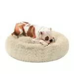 Hundebett von Feandrea - Flauschiges Katzenbett mit Donut Kissen