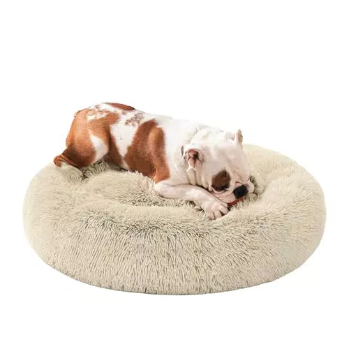 Hundebett von Feandrea - Flauschiges Katzenbett mit Donut Kissen