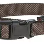 GOLEYGO Hundeleine Flat mit Halsband und sicherem Magnetverschluss für kleine Hunde