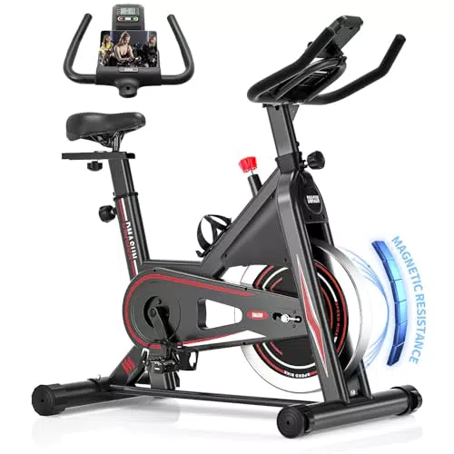 DMASUN Heimtrainer Fahrrad mit Magnetischem Widerstand und LCD-Monitor