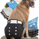 HUND IST KÖNIG Hundewindeln für Hündinnen – Hochabsorbierende Läufigkeitshose