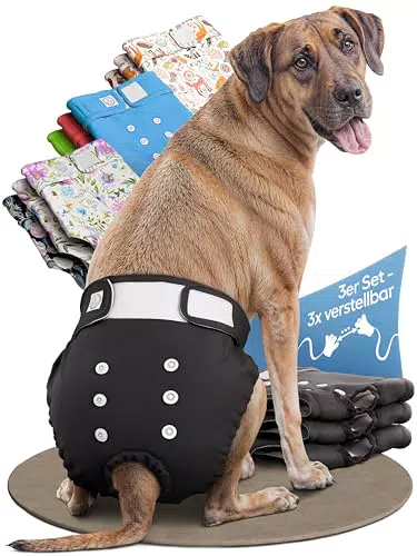 HUND IST KÖNIG Hundewindeln für Hündinnen – Hochabsorbierende Läufigkeitshose