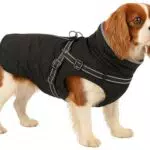 Flamingo Duker Hundemantel Winter – wasserdicht, reflektierend, mit Fleecefutter