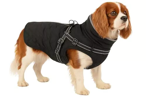 Flamingo Duker Hundemantel Winter – wasserdicht, reflektierend, mit Fleecefutter