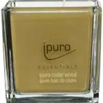 ipuro Cedar Wood Duftkerze – Minimalistisch, puristisch & intensiv holzig