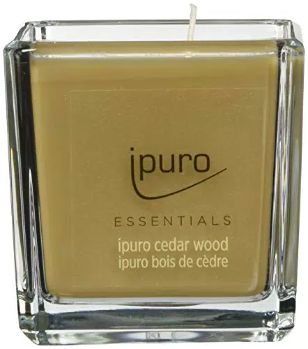 ipuro Cedar Wood Duftkerze – Minimalistisch, puristisch & intensiv holzig