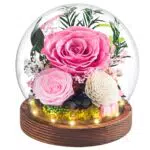 Ewige Rose im Glas mit LED-Licht – Geschenkidee für Frauen und Dekoration