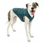 Kurgo Loft Hundejacke - Wasserdicht, Reflektierend, Ideal für den Winter