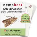 nemabest Schlupfwespen gegen Lebensmittelmotten – Biologische Bekämpfung