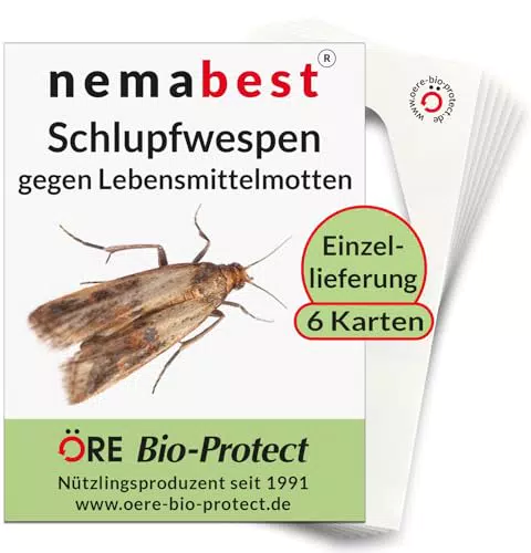 nemabest Schlupfwespen gegen Lebensmittelmotten – Biologische Bekämpfung