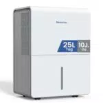 Newentor elektrischer Luftentfeuchter für Keller und Wohnräume mit Timer und Filter