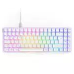NZXT Function 2 MiniTKL Optische Tenkeyless Gaming Tastatur mit RGB und 8K Polling