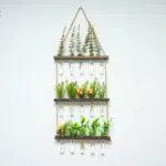 Reagenzglas Vase aus Glas – Hängende Wandvase für Blumen und Ableger, Modell 15B