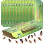 Kakerlakenfalle – Ungiftige Schabenfalle gegen Kakerlaken, Bettwanzen & Staubläuse