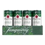 Tanqueray Blackcurrant Royale Gin – Aromatischer Gin für Cocktails & Gin Tonic