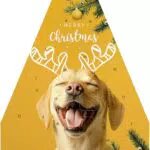 Vitakraft Adventskalender für Hunde – Auswahl leckerer Snacks für Weihnachten