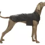 Croci C7074991 Wasserabweisender Hundemantel für optimalen Wetterschutz