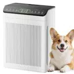 EVALIT Luftreiniger für Schlafzimmer mit waschbarem Filter & PM2.5-Sensor