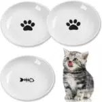 Keramik Katzennapf – Flacher Futternapf mit rutschfestem Silikonring für Katzen