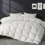 SAPHREAS Daunendecke Ganzjahres für Allergiker, Oeko-Tex, RDS zertifiziert